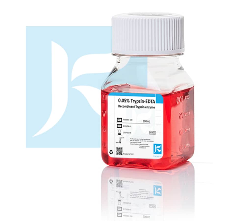 WhatsApp Image 2023-09-19 at 12.58.35